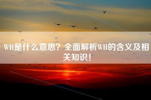 WH是什么意思？全面解析WH的含义及相关知识！