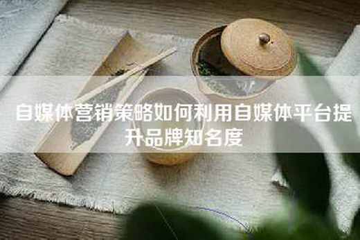 自媒体营销策略如何利用自媒体平台提升品牌知名度