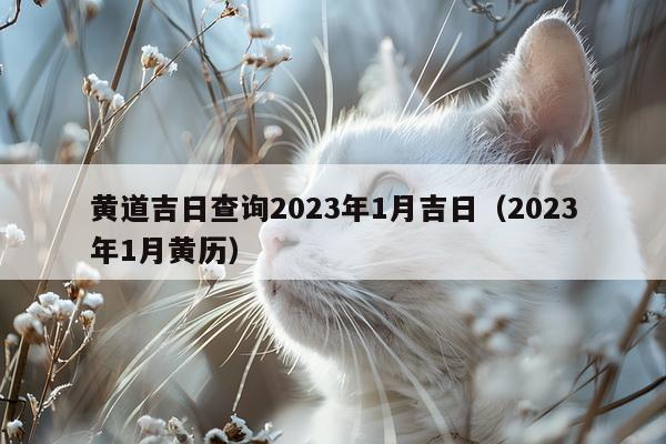 黄道吉日查询2023年1月吉日(2023年1月黄历)