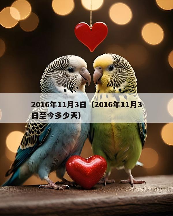 2016年11月3日(2016年11月3日至今多少天)