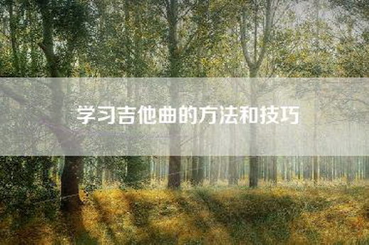 学习吉他曲的方法和技巧