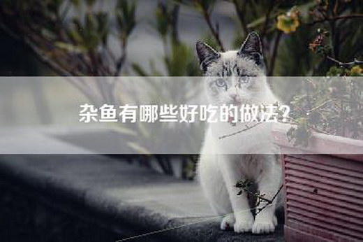 杂鱼有哪些好吃的做法？