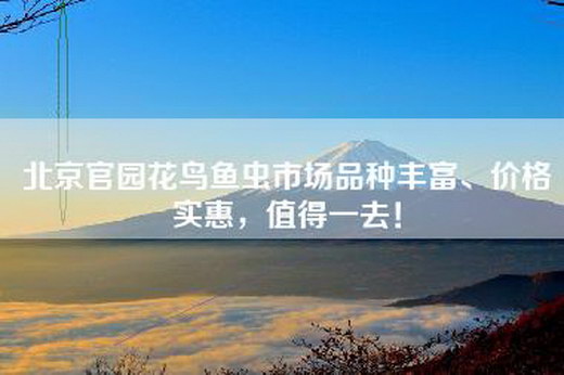 北京官园花鸟鱼虫市场品种丰富、价格实惠，值得一去！