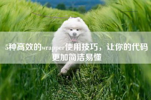 5种高效的wrapper使用技巧，让你的代码更加简洁易懂