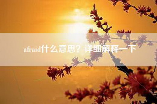 afraid什么意思？详细解释一下