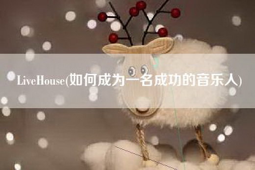 LiveHouse(如何成为一名成功的音乐人)