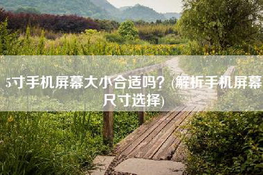 5寸手机屏幕大小合适吗？(解析手机屏幕尺寸选择)