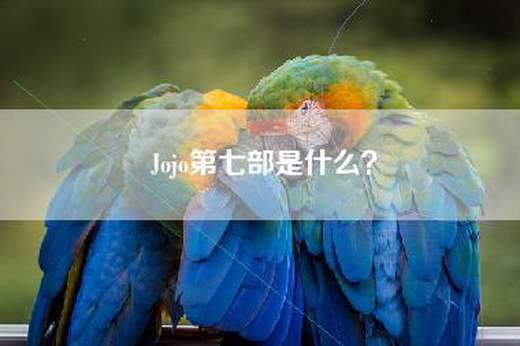 Jojo第七部是什么？