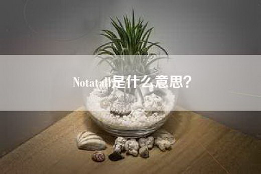 Notatall是什么意思？