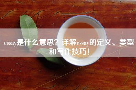 essay是什么意思？详解essay的定义、类型和写作技巧！