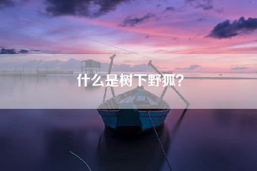 什么是树下野狐？