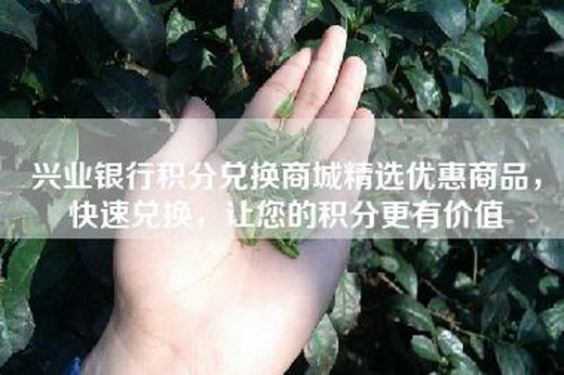 兴业银行积分兑换商城精选优惠商品，快速兑换，让您的积分更有价值