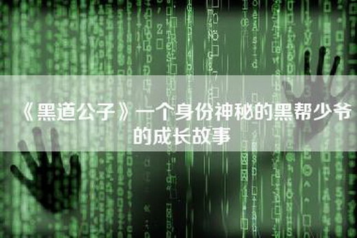 《黑道公子》一个身份神秘的黑帮少爷的成长故事