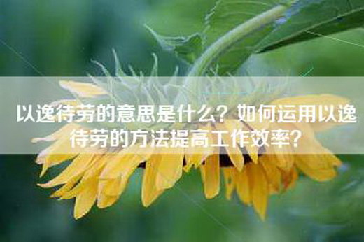 以逸待劳的意思是什么？如何运用以逸待劳的方法提高工作效率？