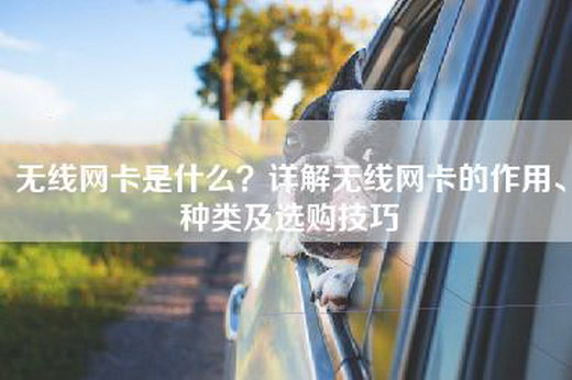 无线网卡是什么？详解无线网卡的作用、种类及选购技巧