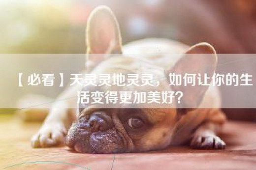 【必看】天灵灵地灵灵，如何让你的生活变得更加美好？