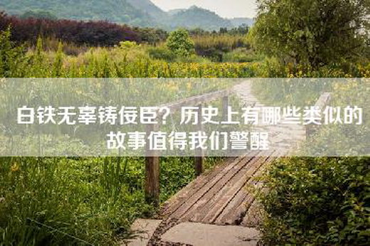 白铁无辜铸佞臣？历史上有哪些类似的故事值得我们警醒