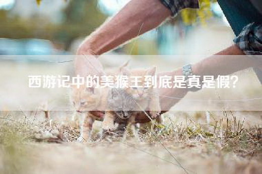 西游记中的美猴王到底是真是假？