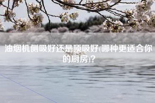 油烟机侧吸好还是顶吸好(哪种更适合你的厨房)？