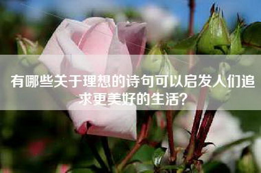 有哪些关于理想的诗句可以启发人们追求更美好的生活？