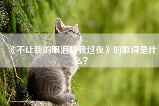 《不让我的眼泪陪我过夜》的歌词是什么？