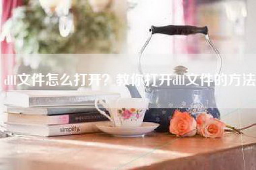 dll文件怎么打开?教你打开dll文件的方法