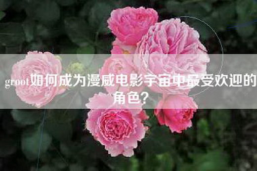 groot如何成为漫威电影宇宙中最受欢迎的角色?