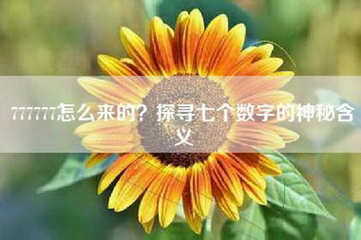 777777怎么来的?探寻七个数字的神秘含义