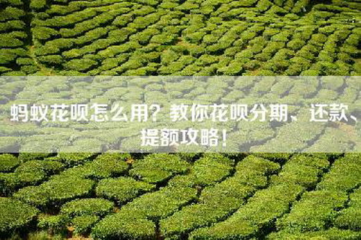 蚂蚁花呗怎么用?教你花呗分期、还款、提额攻略!