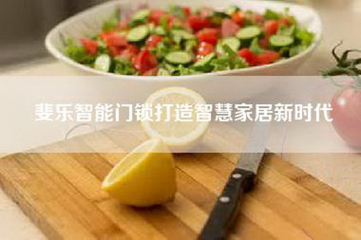 斐乐智能门锁打造智慧家居新时代