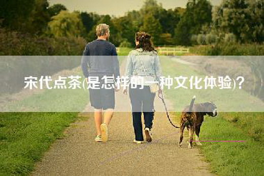 宋代点茶(是怎样的一种文化体验)?
