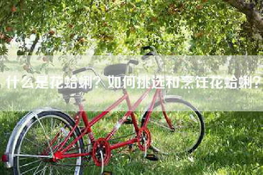 什么是花蛤蜊?如何挑选和烹饪花蛤蜊?